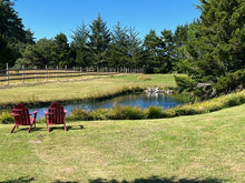 Load image into Gallery viewer, TOLEDO GOLDFISH | Customer photo with a pond with 2 red lawn chairs in front

