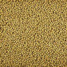 Load image into Gallery viewer, Toledo Goldfish | Floating fish food pellets for goldfish and koi