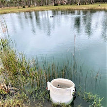 Load image into Gallery viewer, TOLEDO GOLDFISH | Customer photo of a pond with fish acclimating to stock the pond with
