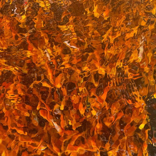 TOLEDO GOLDFISH | Common Goldfish
