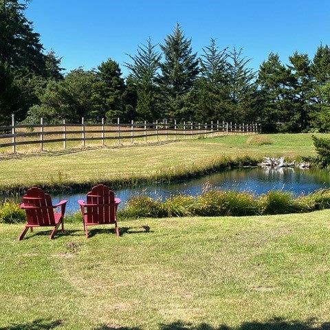 Stocking a Farm Pond in the Fall: A Guide to Creating a Balanced Ecosystem