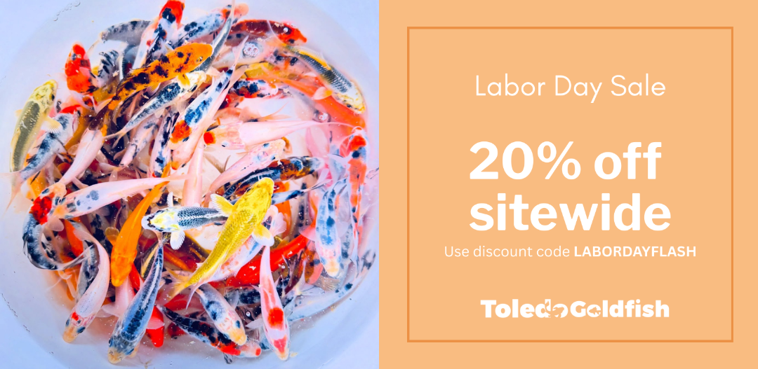 Colorful goldfish in clear tanks with a Labor Day sale banner on the right.