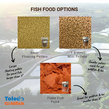 Load image into Gallery viewer, Toledo Goldfish | Fish Food Options, floating, mini pellets, and flake food
