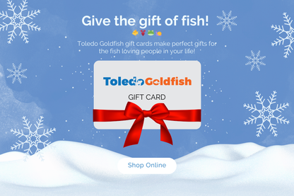 Toledo Goldfish Gift Cards