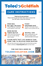 Load image into Gallery viewer, TOLEDO GOLDFISH | Care instructions
