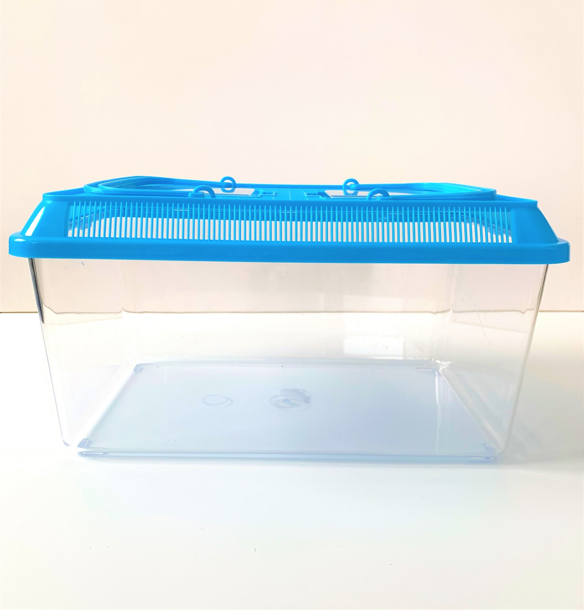 Plastic Aquarium/Habitat – Toledo Goldfish