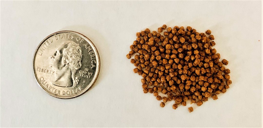 Toledo Goldfish Mini Pellets size comparison photo for goldfish and koi