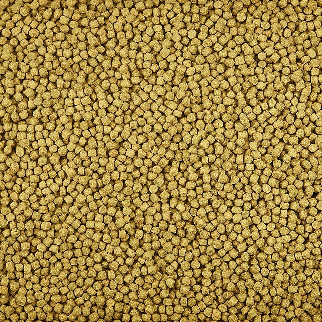Toledo Goldfish | Floating fish food pellets for goldfish and koi