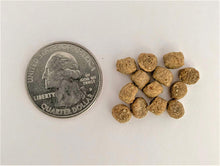 Load image into Gallery viewer, Toledo Goldfish | Fish food 5mm pellets quarter size comparison
