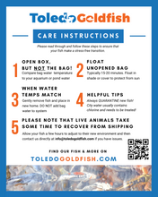 Load image into Gallery viewer, Toledo Goldfish Care Instructions for acclimation when fish arrive
