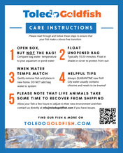 Load image into Gallery viewer, Toledo Goldfish Care Instructions
