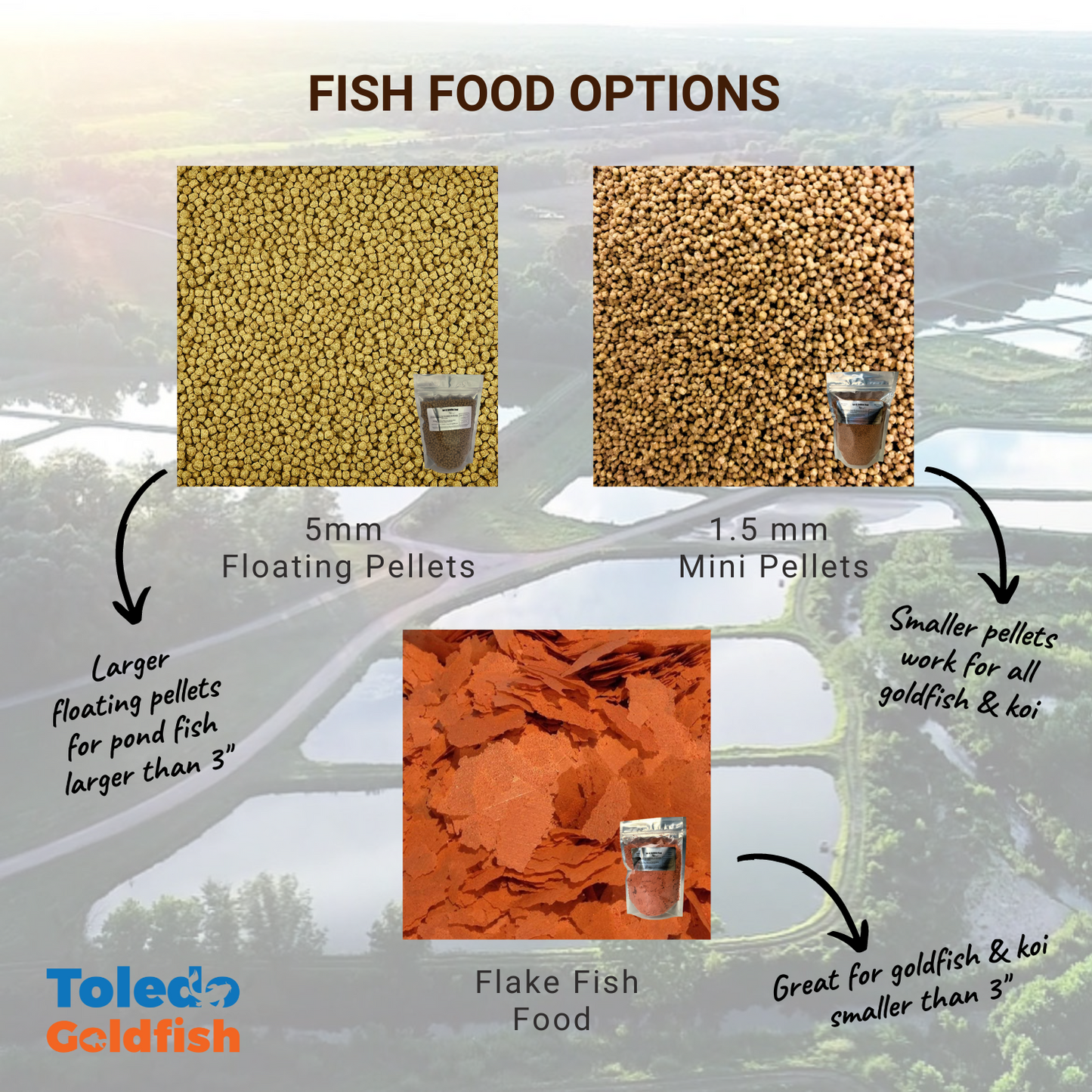 Toledo Goldfish | Fish Food 