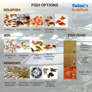 Toledo Goldfish Fish Options