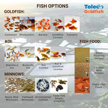 Load image into Gallery viewer, Toledo Goldfish Fish Options
