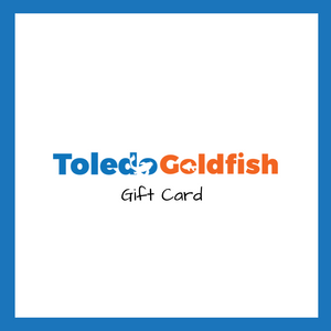 TOLEDO GOLDFISH | Gift Card