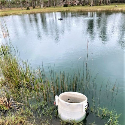 TOLEDO GOLDFISH | Customer photo of a pond with fish acclimating to stock the pond with