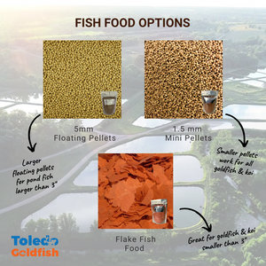 TOLEDO GOLDFISH | Fish food options with floating pellets, mini pellets, and flak fish food